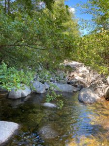 Stage de yoga pleine nature cévennes