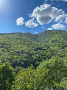Nature stage Cévennes yoga