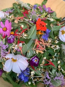 Salade de fleurs arphy cévennes